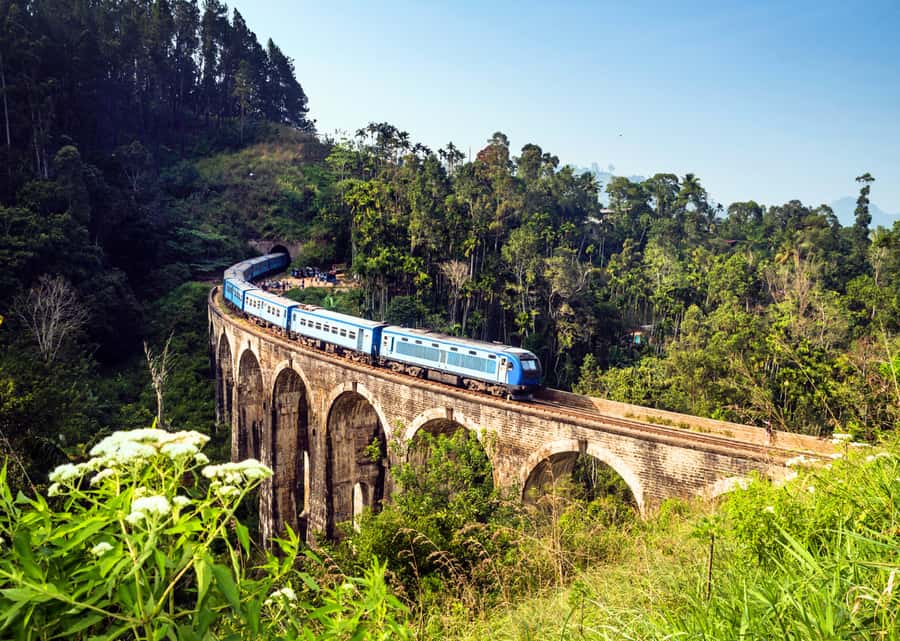 Sri Lanka Private 2-day Tour:Train Trip, Kandy, Nuwara Eliya - Nuwara Eliya and the tea country