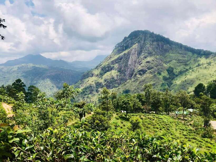 Sri Lanka Private 3-nights Tour Transport, Guide, Hotels - Day 2: Sigiriya, Dambulla, village life, and Minneriya