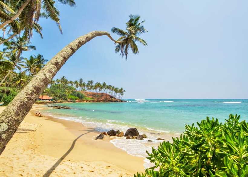 Sri Lanka Private 3-nights Tour Transport, Guide, Hotels - Day 4: Mirissa, Galle Fort, Bentota, and Colombo