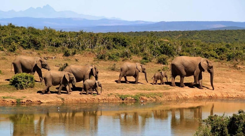 Sri Lanka Private 3-nights Tour Transport, Guide, Hotels - Hotels, meals, and extra costs