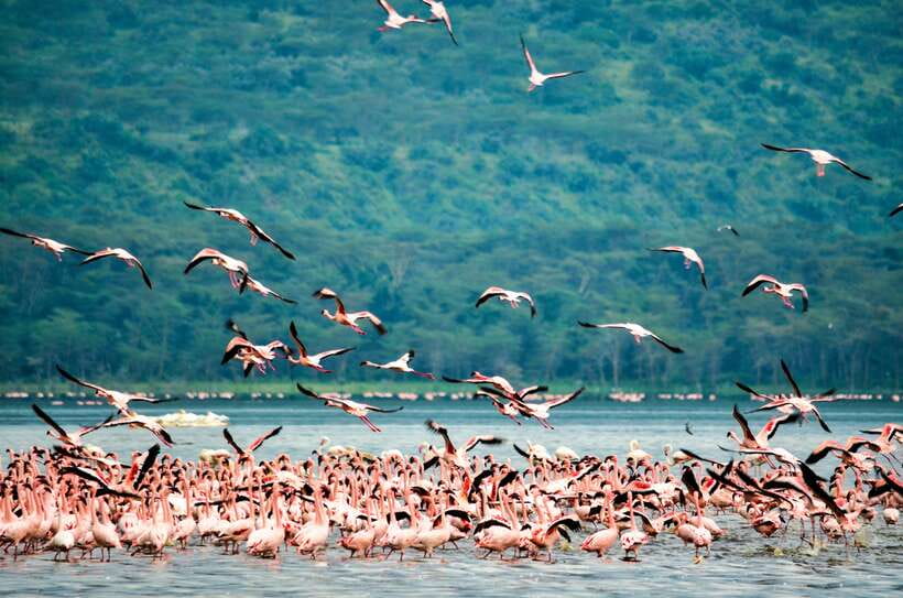 Sri Lanka Private 8-day Tour; Transport, Guide, Hotels, Food - What the $899 price really covers