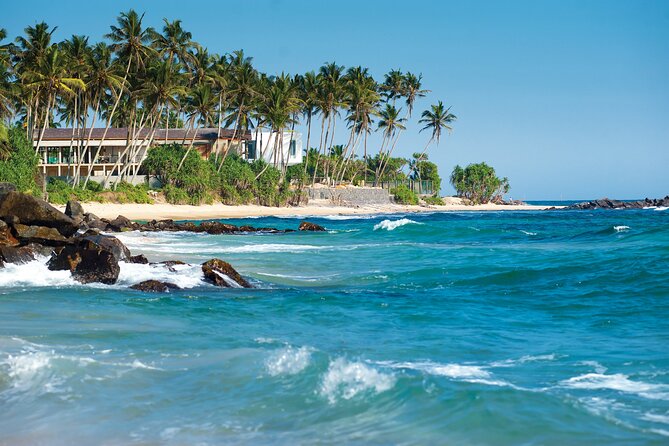 Sri Lanka Private Tour 8 days-Driver/vehicle/accommodation H/B - Day 8: Airport transfer and a careful final morning
