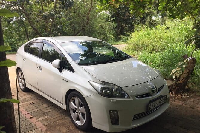 Sri Lanka Round Tour with English Speaking Driver Guide and Car - Airport and hotel transfers without the usual fuss