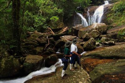 Sri Lanka Sinharaja Rain Forest Tour with Transport