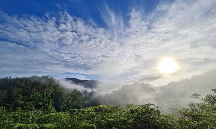 Sri Lanka : Sinharaja Rainforest Guided Trek with Pickup - Is $96 a fair price?