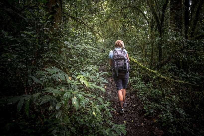 Sri Lanka: Sinharaja rainforest tour from Colombo, Bentota - Why Sinharaja is worth a full day from the coast
