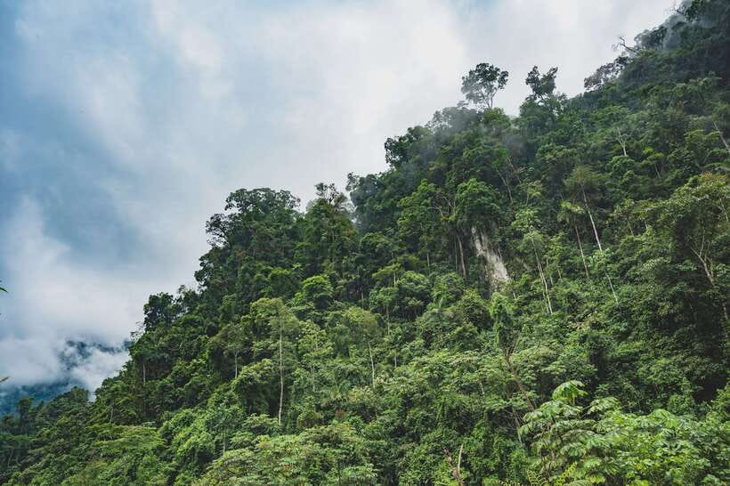 Sri Lanka: Sinharaja rainforest tour from Colombo, Bentota - Is $195 good value for one person?