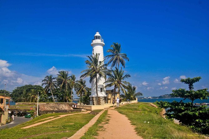 Sri Lanka Tour 07 Nights 08 Days - Day 5: Botanical gardens and Sri Lanka’s tea country