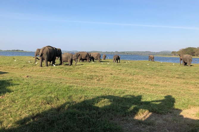 Sri Lanka Tour in 8 Days - Day 6: Rawana Ella and a Yala safari