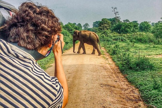 Sri Lanka tour itinerary . 6N/7D with driver, vehicle and H/B accommodations - What $415.80 covers on this seven-day route