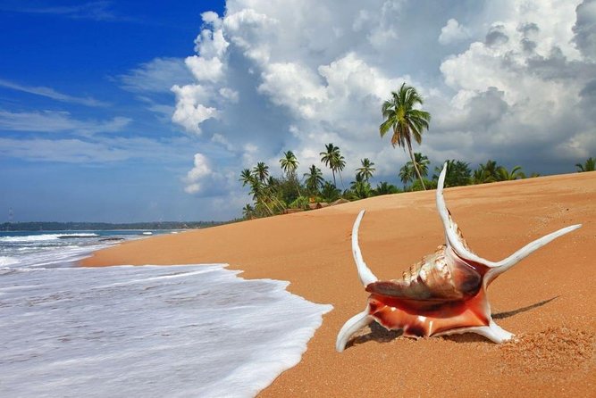 Sri Lanka tour itinerary . 6N/7D with driver, vehicle and H/B accommodations - Day 5: The Kandy to Ella rail journey and Ella Rock