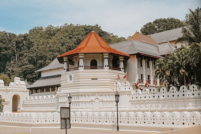 Sri Lanka Tour Plan - 14 Days - Private Transport And Hotel - Who should book this Sri Lanka tour?