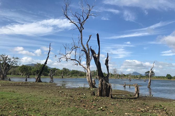 Sri Lanka tours 12-Day wildlife Tour with driver,Car or Van and accommodations - Day 4: Sigiriya Rock, Dambulla, and Kandy