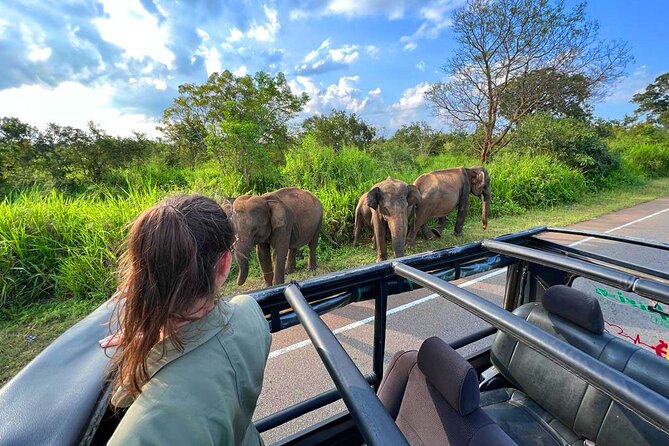 Sri Lanka Travel in 08 Nights 09 Days - What the $958 price really buys you