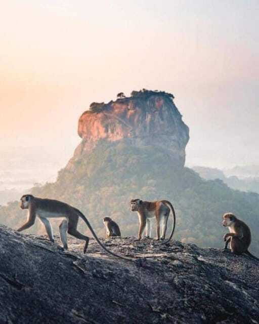 Sunrise or Sunset Hike Pidurangala Rock with Scenic Views - Returning by tuk-tuk after the descent