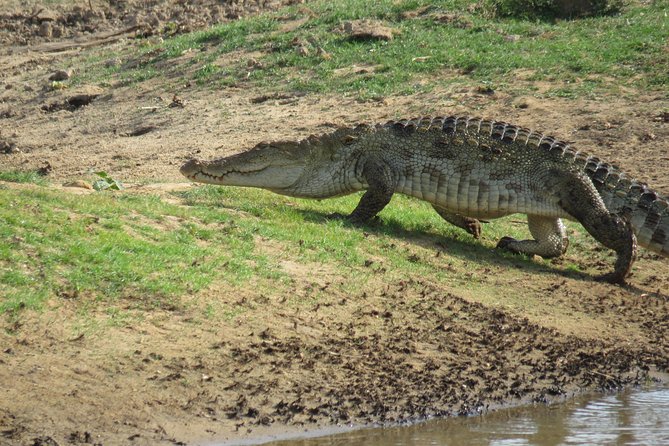 Super Luxury Jeep Safari at Yala National Park - How the two-part itinerary works