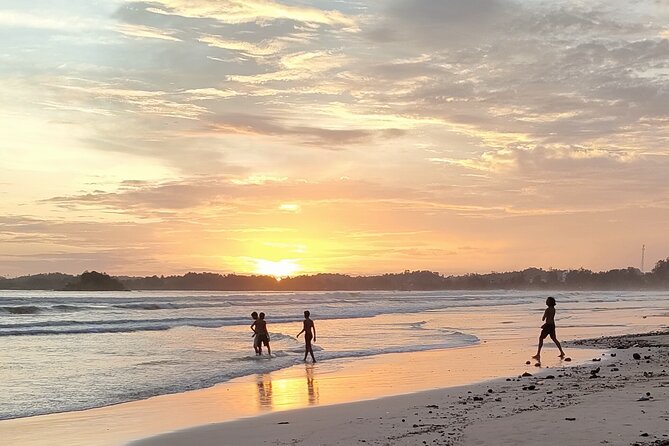 Surf Camp in Weligama Beach Sri Lanka - Why Weligama works for first-time surfers