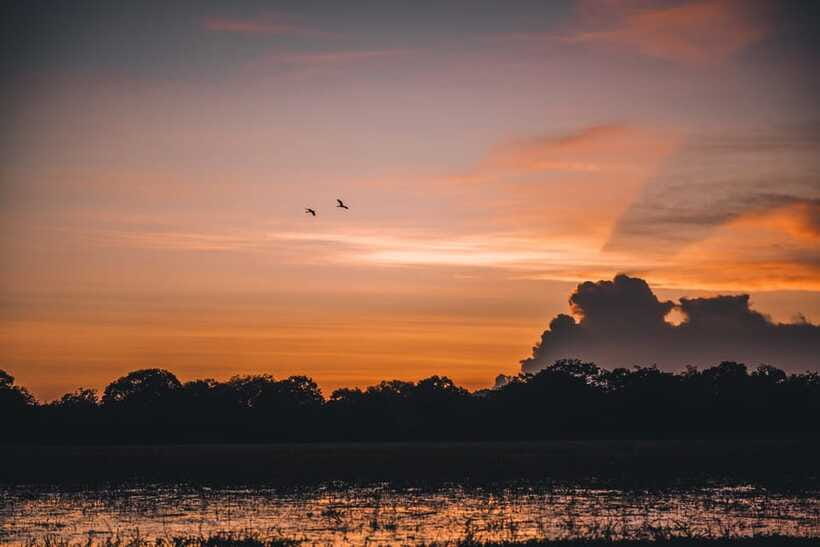 Tangalle/Hiriketiya: Yala National Park Safari in a 4x4 - When this safari is a good fit