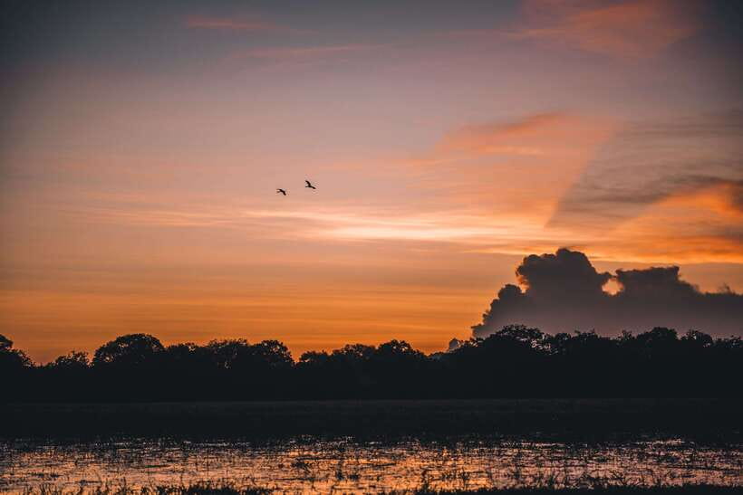 Tangalle/Hiriketiya: Yala National Park Safari in a 4x4 - Inside a 126,786-hectare park