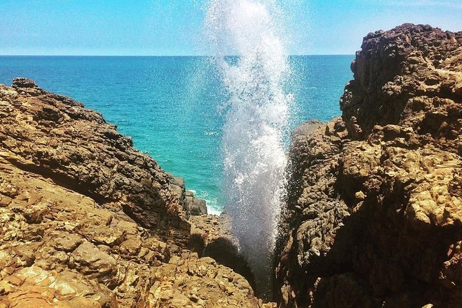 Tangalle Sightseeing Tour - What the $39 price really covers