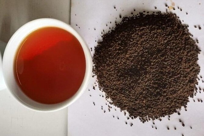 Tea Fields & Factory Tour - What the $20 price gets you