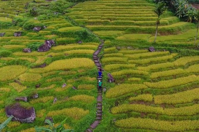 Tea Loops E-Biking - Viewpoints around Bogawanthalawa and Maussakelle