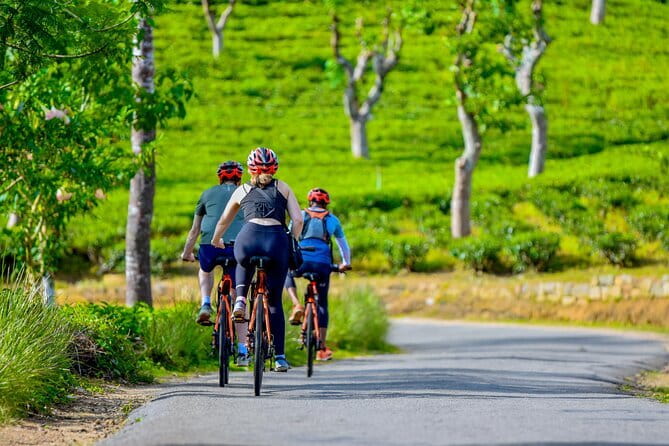 Tea Loops E-Biking - Two and a half hours, with snacks included