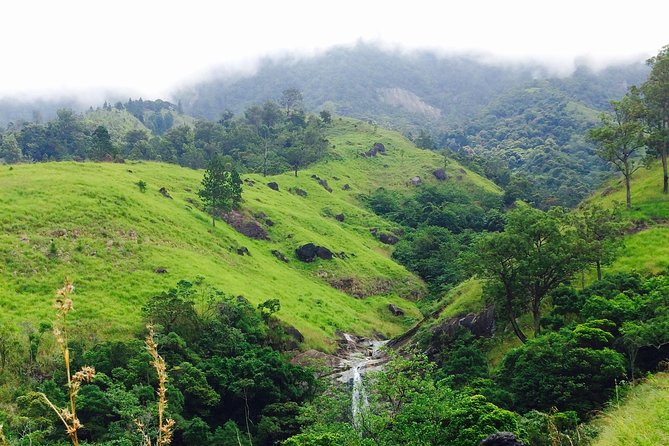 The Most Recommended Round Tour in Sri Lanka - Day 5: The Nanu Oya to Ella train
