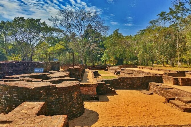 Three Ancient Kingdoms Tour | from Colombo - Who will enjoy this long day