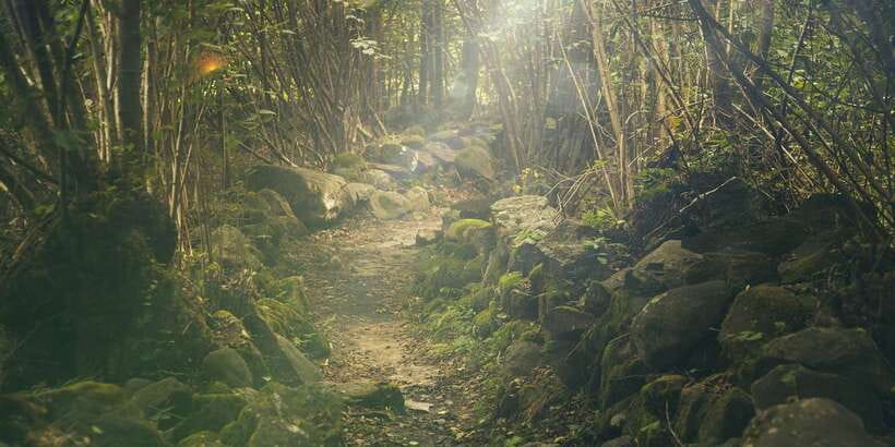 Thrills of Kitulgala - Timing, fitness, and what to pack