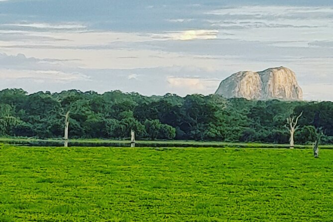Tours and Transportation in Sri Lanka - Booking details worth confirming