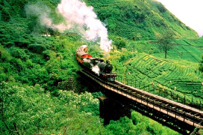 Train Tickets from Nanuoya (NuwaraEliya) to Ella - Why the Nanuoya to Ella train is worth your time