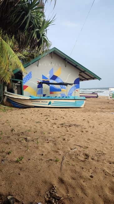 Trincomalee: Dolphin & Whale Watching Boat Tour - Sunrise from Nilaveli Beach