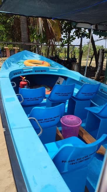 Trincomalee: Dolphin & Whale Watching Boat Tour - Dolphins are usually the main event