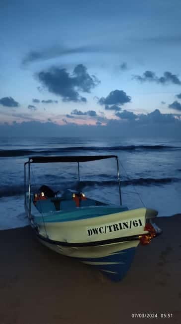 Trincomalee: Dolphin & Whale Watching Boat Tour - What $40 gets you