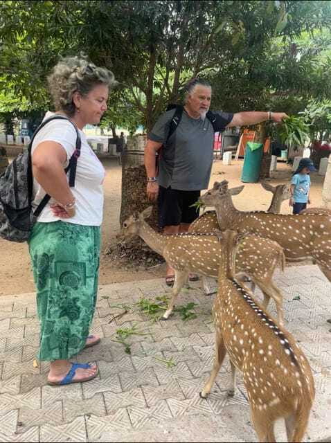 Trincomalee: Tuk-Tuk city tour with a guide - What to bring and who should book