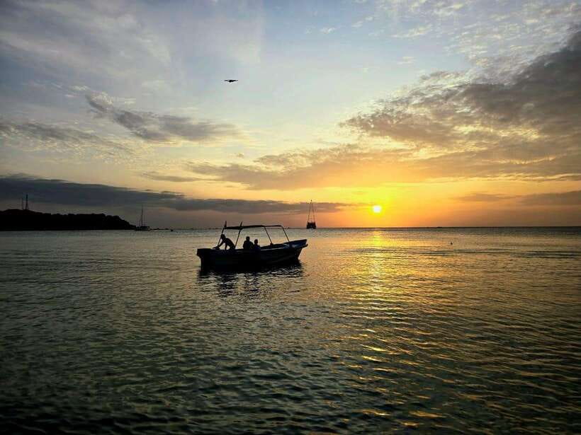 Trincomalee : Whale & dolphin watching +pigeon island tour - Leaving Trincomalee for the whale search