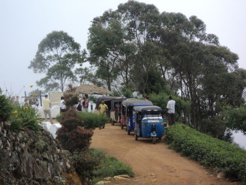 Tuk-Tuk Safari Liptons seat,Tea Fields Hike,TeaFactory Tour - Should You Book the Lipton Seat Tea Tour?
