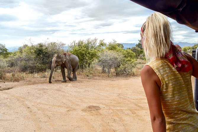UDAWALAWA National Park ALL INCLUSIVE Tour with PICK UP INCLUDED - Why Udawalawe is such a strong safari choice