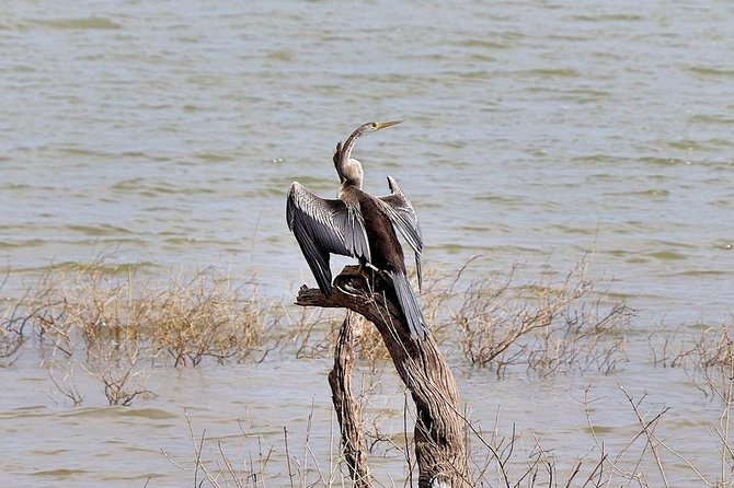 Udawalawa National Park half day Safari - Is the $85 price good value?