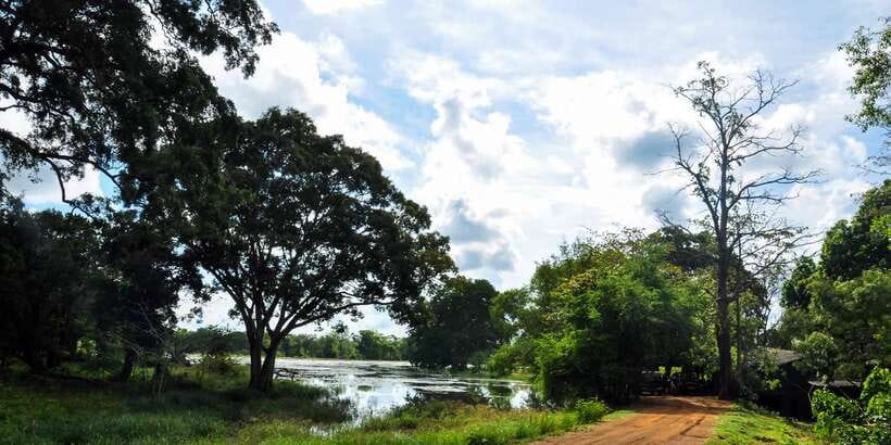 Udawalawa National Park: Private Safari - Should you book it?
