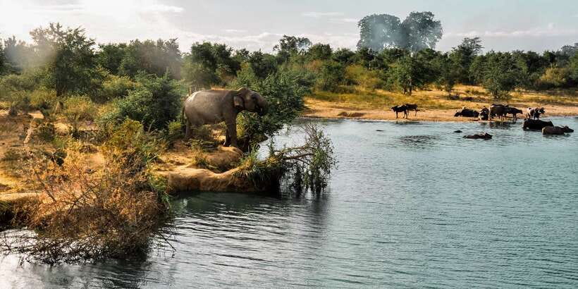 Udawalawa National Park: Private Safari - What three hours in the 4x4 actually feels like