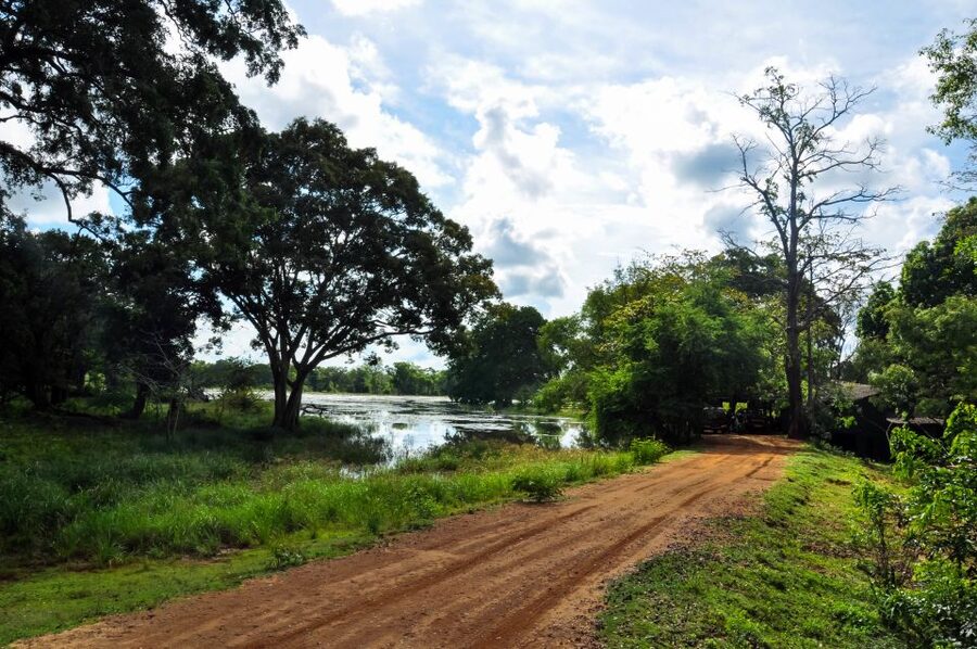 Udawalawa National Park: Private Safari - Who should book this Udawalawe safari?