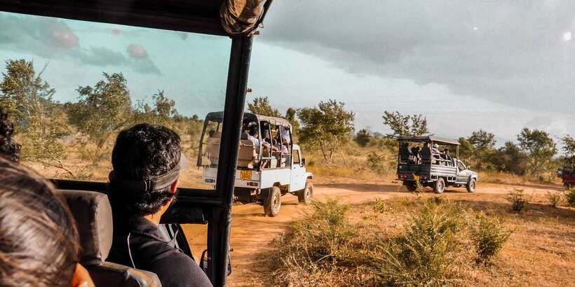Udawalawa National Park: Private Safari - Elephants first, then the rest of the animal list
