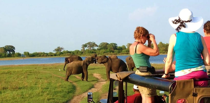 Udawalawa National Park Safari Tour with Experienced Guides - FAQ