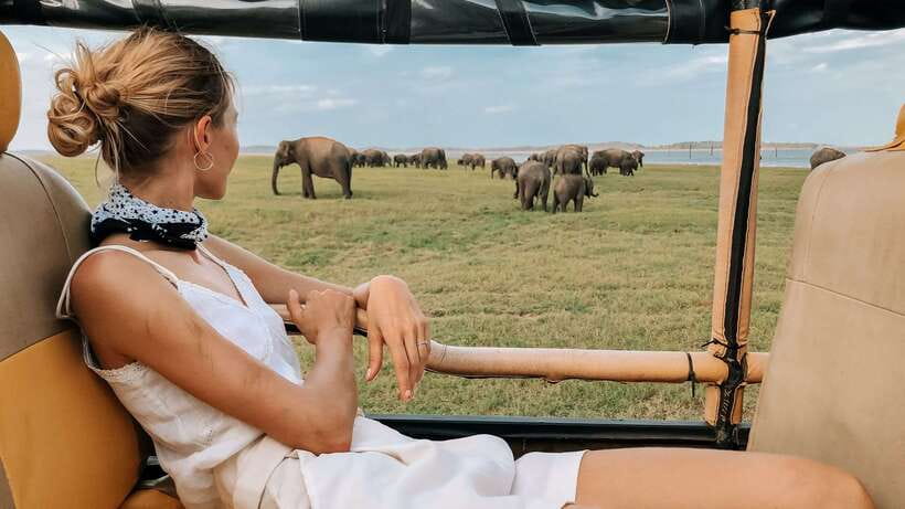 Udawalawa National Park Safari Tour with Experienced Guides - Beyond elephants: what else you might see