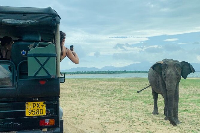 Udawalawe National Park Day trip - Key points to know before booking