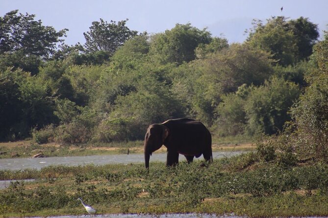 Udawalawe National Park Day trip - What is included, and what still costs extra