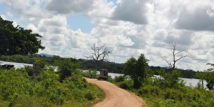 Udawalawe National Park Private Full-Day Safari - Smaller mammals add variety to the drive