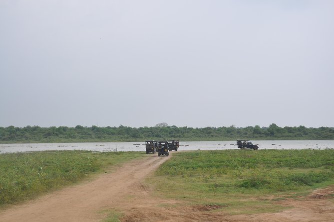 Udawalawe National Park Safari from Bentota - What to pack and what to confirm